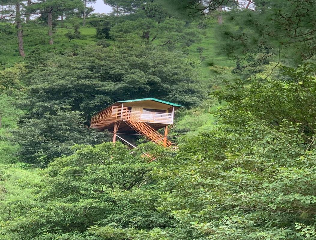 The Cocoon Camps & Nature Resorts Nainital Εξωτερικό φωτογραφία